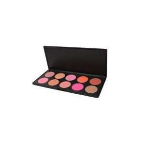  10 Color Makeup Cosmetic Blush Palette Health & Personal 