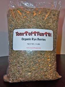   Rye Seed Seeds Berries Bulk Make Bread Beer Mushrooms grass  