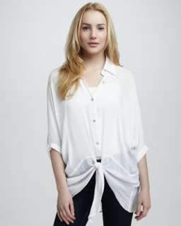 Sheer Spread Collar Blouse  