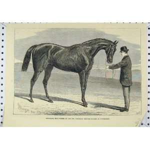  Petrarch Horse Winner Two Thousand Stakes Newmarket