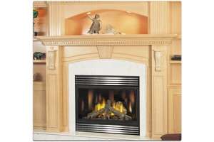 Continental BCDV42n DV Gas Fireplace Package with Venting  
