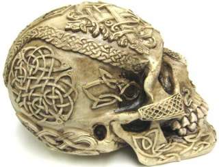 Celtic Lion Knotwork Human Skull Statue Bone Finish  