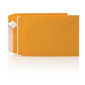   Kraft Peel to Seal Catalog Envelopes, 100 / box