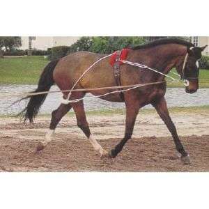 NEW Pessoa Longeing Training System   HORSE    