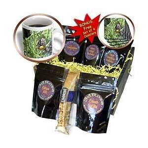   ladybug on lavender flower   Coffee Gift Baskets   Coffee Gift Basket