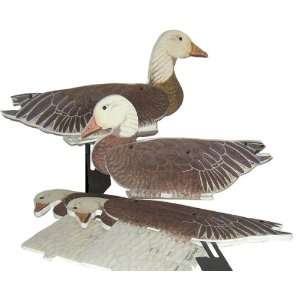  Blue Goose Dozen Duck Decoys Goose