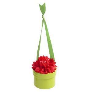  Bloembox Hanging Minis Standard Cornflower in Gift Box 