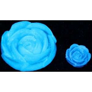  RAINBOW Flowers Small Water Absorbent Acrylic Shape 8oz 