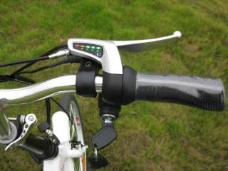 Light 36V 250W Folding Electric Bike E Bike with Hiden Lithium Battery 