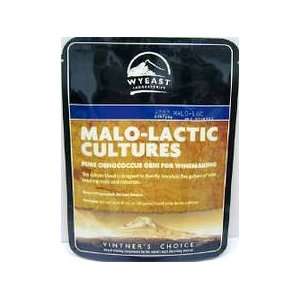 Wyeast 4007 Malo Lactic Blend (Liquid Culture)  Grocery 