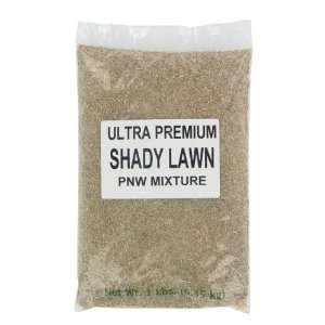  X SEED INC 1 Lb Shady Lawn Ultra Premium Seed Mixture 