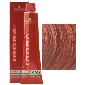 Schwarzkopf Professional Igora Royal Hair Color   7 887 Med Int Red 