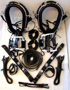 13 Collar Pony Mini TEAM Driving Parade Harness Hames  