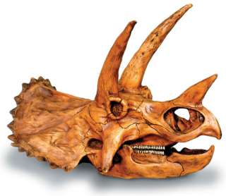 Triceratops Skull Dinosaur Fossil Model Replica  