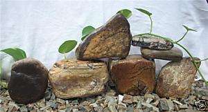 Aquarium Stone Boulder Set  5 Pc, Desert Varnish Rocks  
