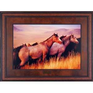   Gallery Quality Framed Art Western Horse Cowboy Photo Picture Home