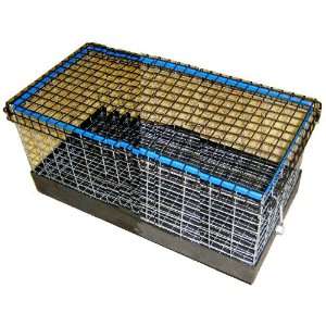  12x19 Transport Carrier Cage