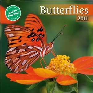  Butterflies 2011 Mini Wall Calendar