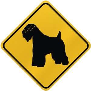  ONLY  SOFT COATED WHEATEN TERRIER  CROSSING SIGN DOG 