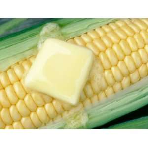  Sweet and Delicious Corn on the Cob with Butter Stretched 