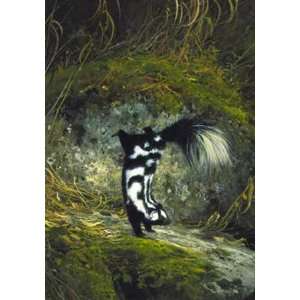   Coleman   Little Spotted Skunk Watercolor Paper
