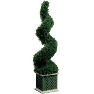   Springray Spiral Topiary With Wood Base With Lattice